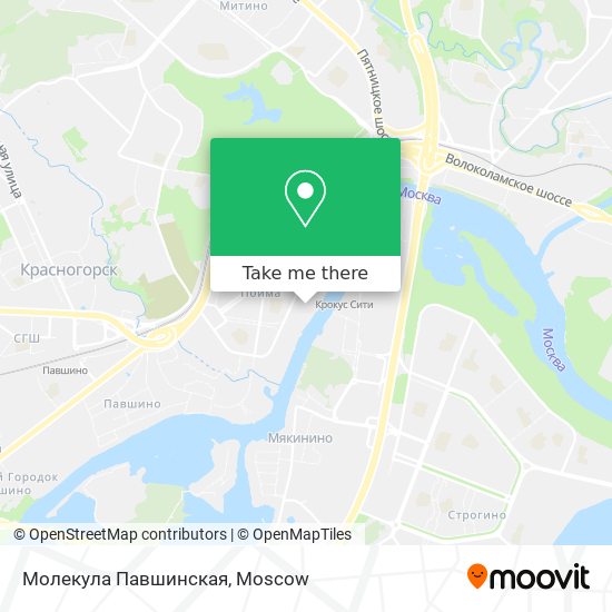 Молекула Павшинская map