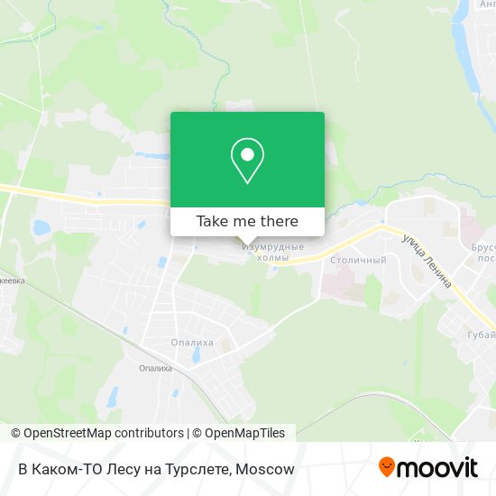 В Каком-ТО Лесу на Турслете map