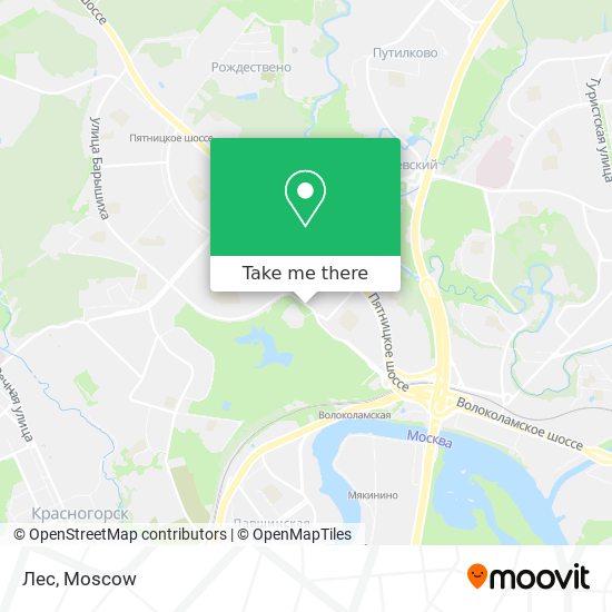 Лес map