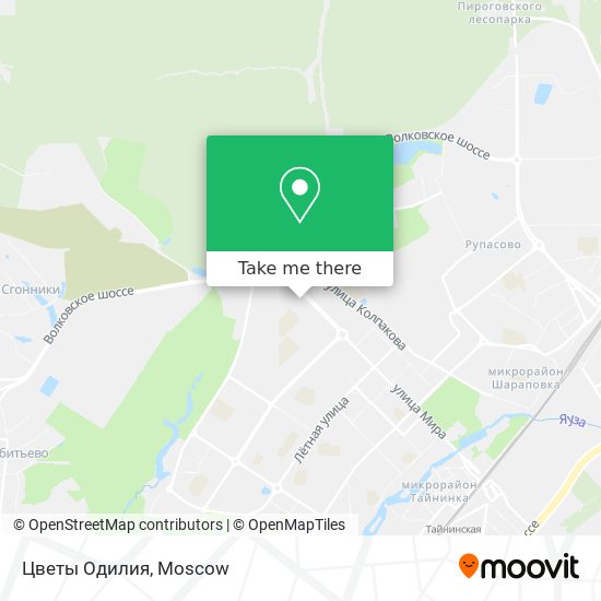 Цветы Одилия map