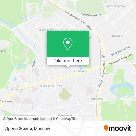 Древо Жизни map