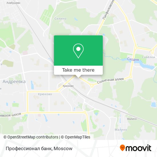 Профессионал банк map