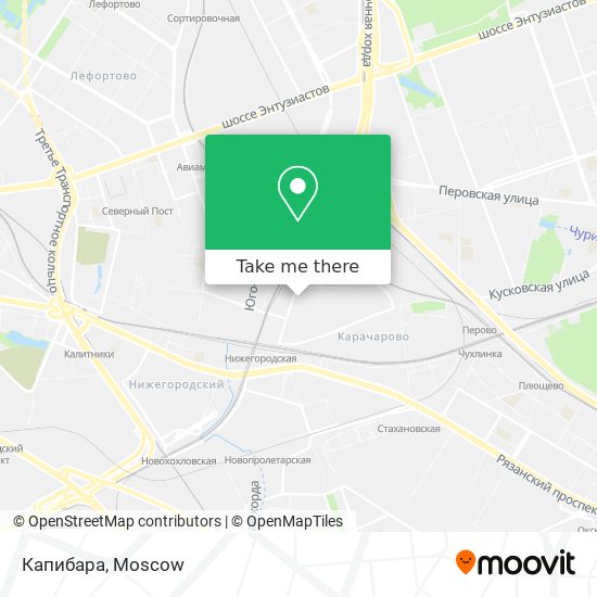 Капибара map