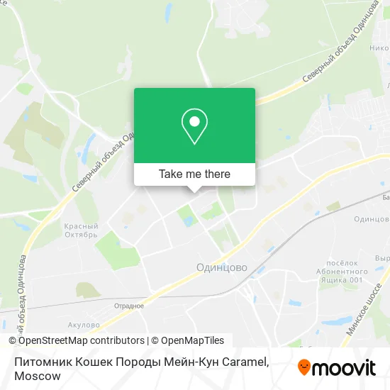 Питомник Кошек Породы Мейн-Кун Caramel map