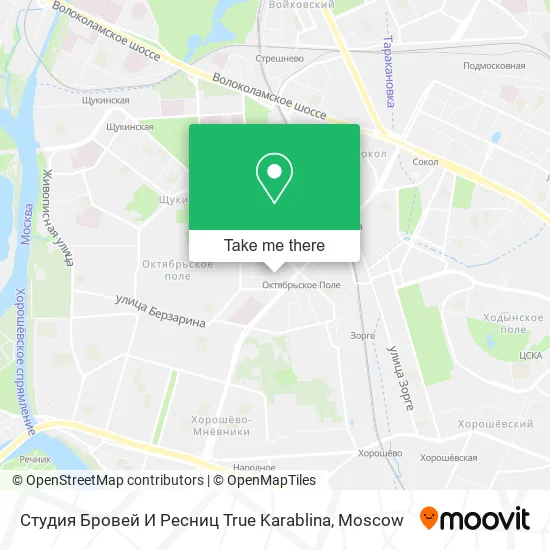 Студия Бровей И Ресниц True Karablina map