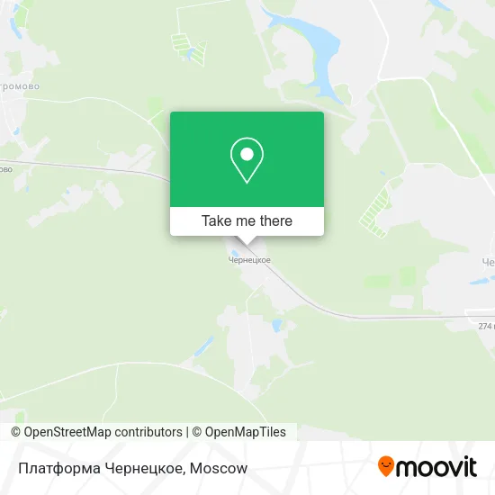 Платформа Чернецкое map