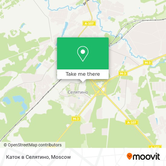 Каток в Селятино map