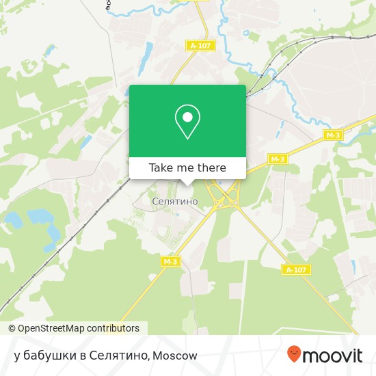 у бабушки в Селятино map