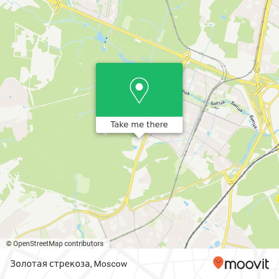 Золотая стрекоза map