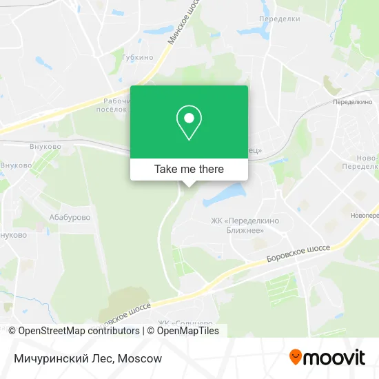 Мичуринский Лес map