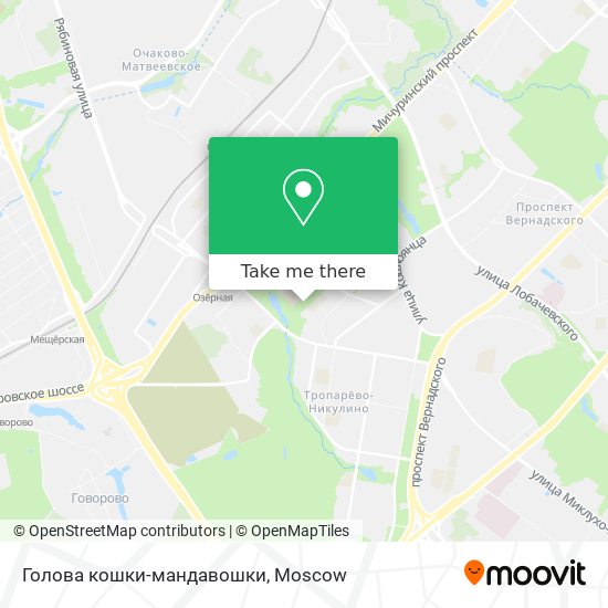 Голова кошки-мандавошки map
