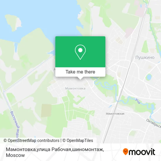 Мамонтовка,улица Рабочая,шиномонтаж map