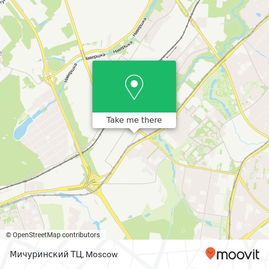 Мичуринский ТЦ map