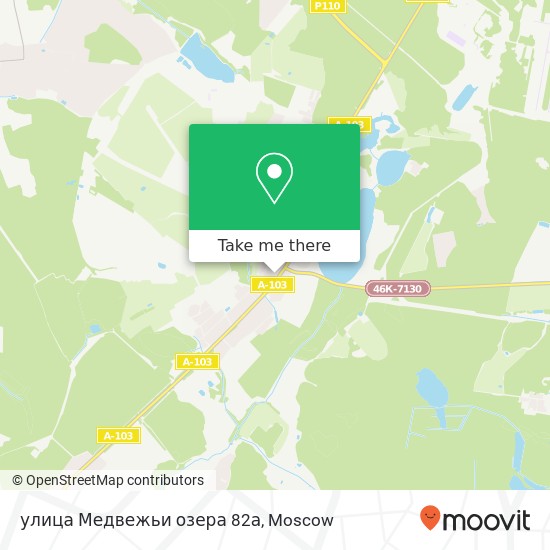 улица Медвежьи озера 82а map