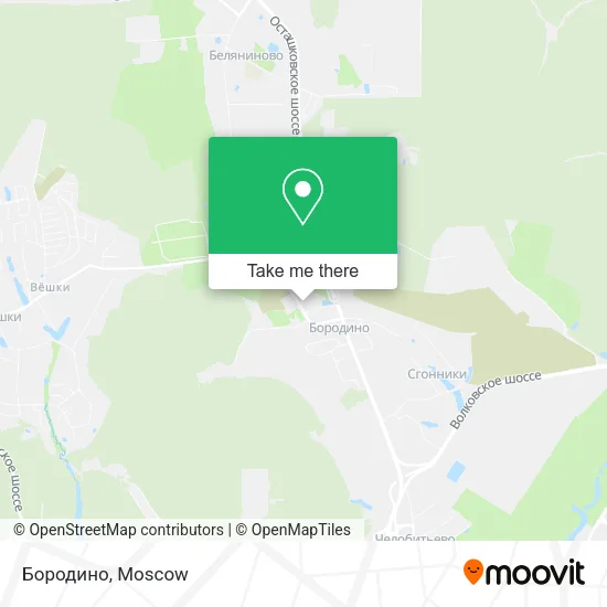 Бородино map