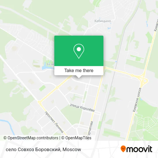 село Совхоз Боровский map
