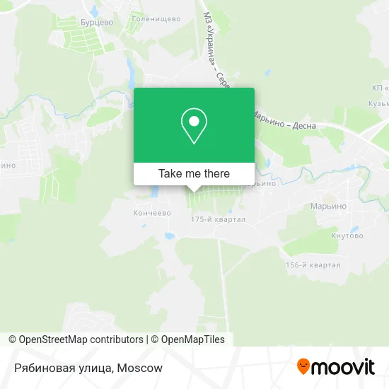 Рябиновая улица map