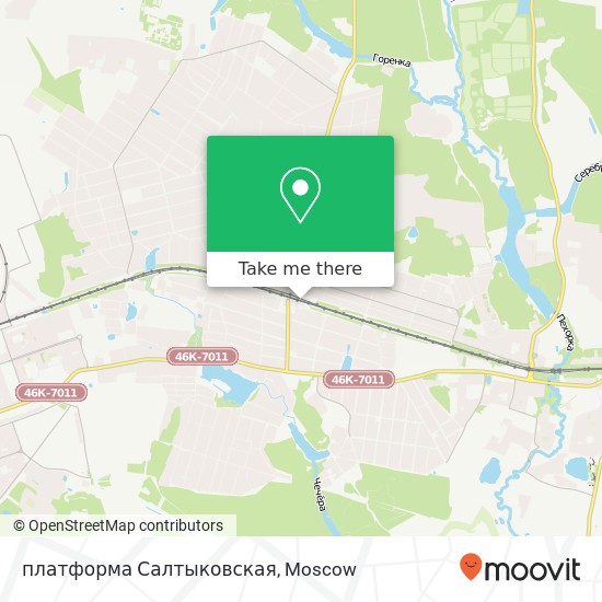 платформа Салтыковская map