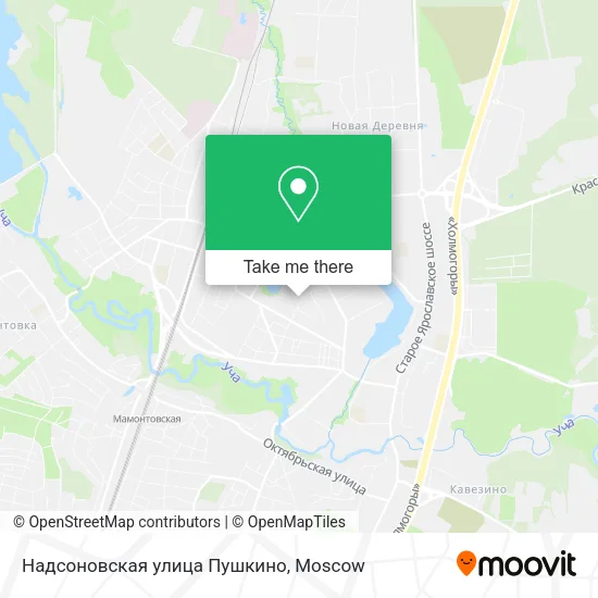 Надсоновская улица Пушкино map