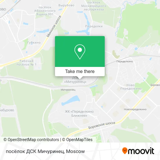 посёлок ДСК Мичуринец map