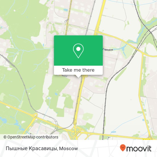 Пышные Красавицы, Москва 117405 map
