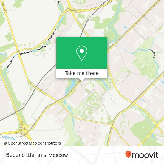 Весело Шагать, Москва 119602 map