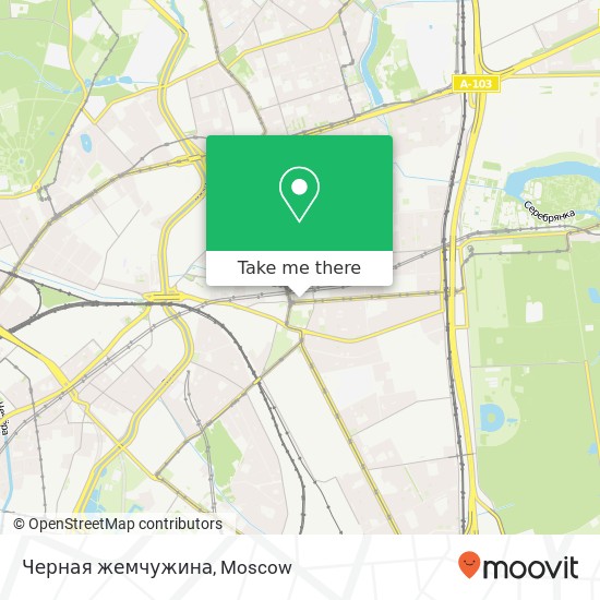 Черная жемчужина, Семёновская площадь, 1 Москва 105318 map