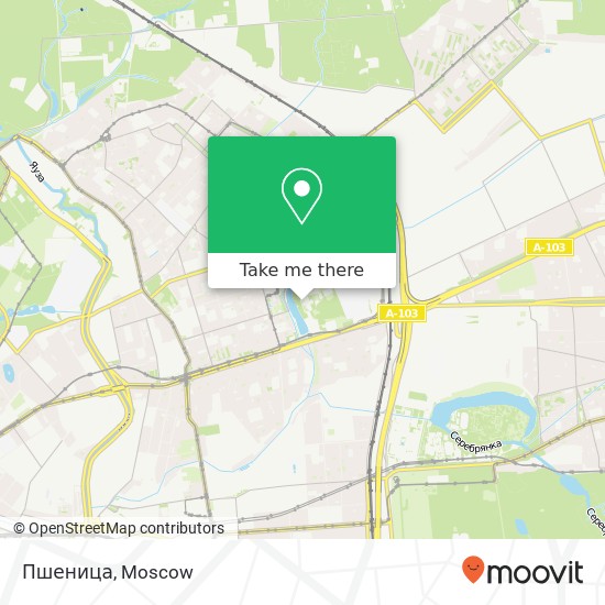 Пшеница, Москва 107553 map