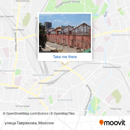 улица Гаврикова map