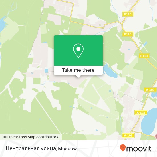 Центральная улица map