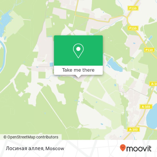 Лосиная аллея map