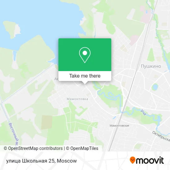 улица Школьная 25 map