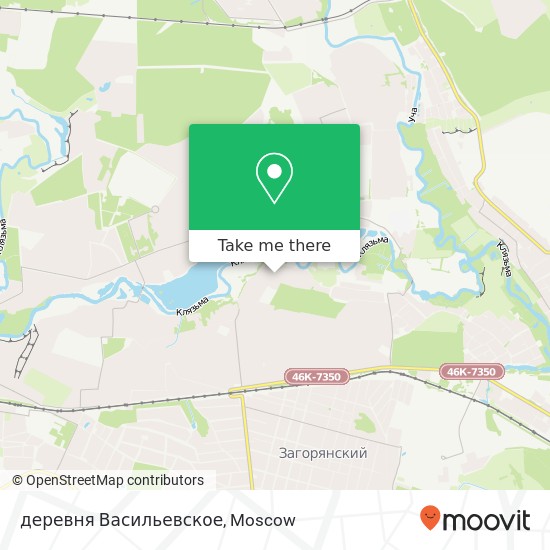 деревня Васильевское map