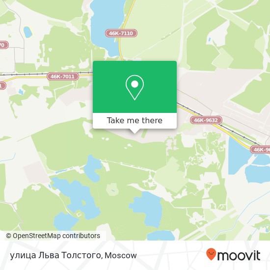 улица Льва Толстого map