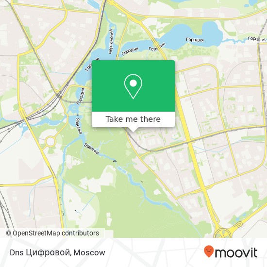 Dns Цифровой map