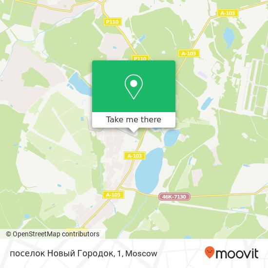 поселок Новый Городок, 1 map