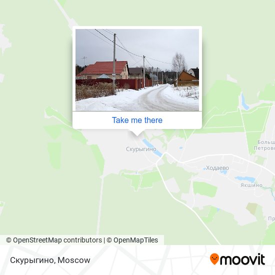 Скурыгино map