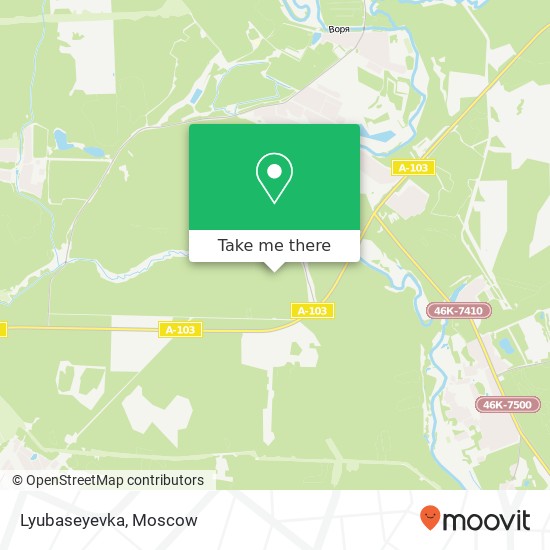 Lyubaseyevka map