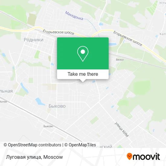 Луговая улица map