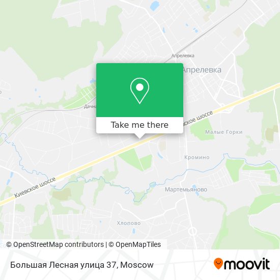 Большая Лесная улица 37 map