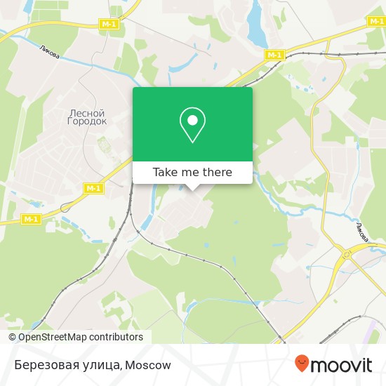 Березовая улица map