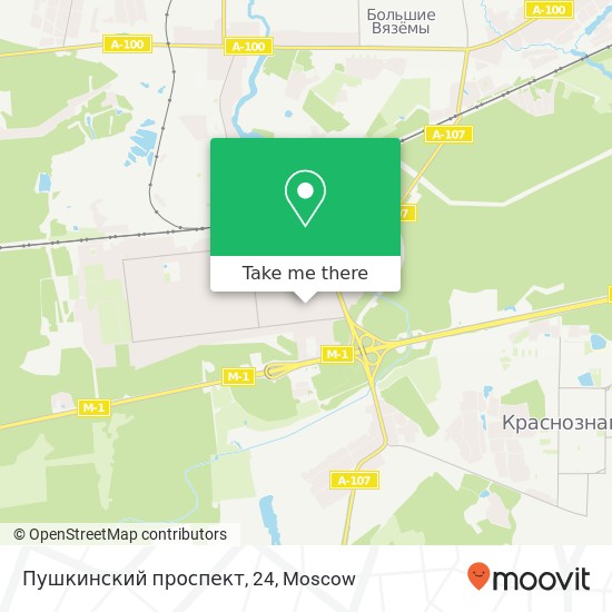 Пушкинский проспект, 24 map