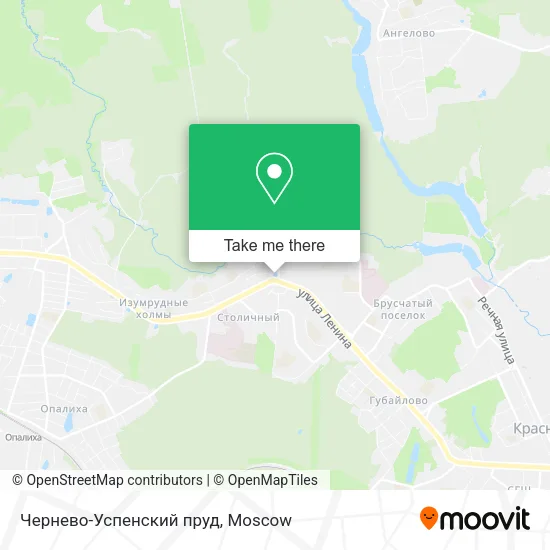 Чернево-Успенский пруд map