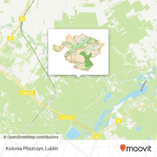 Kolonia Pliszczyn map