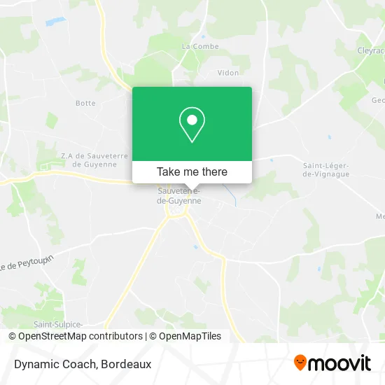 Dynamic Coach map