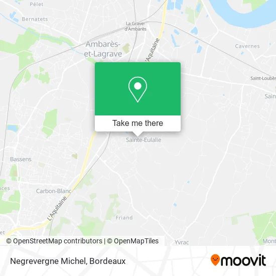Negrevergne Michel map
