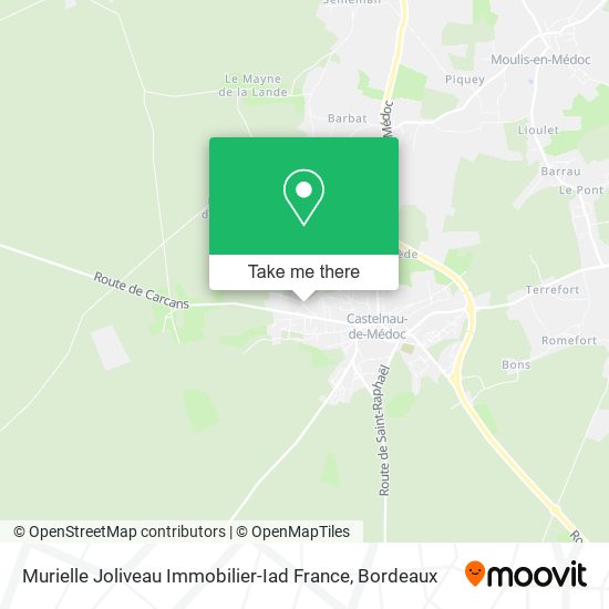 Mapa Murielle Joliveau Immobilier-Iad France