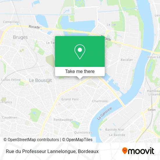 Rue du Professeur Lannelongue map