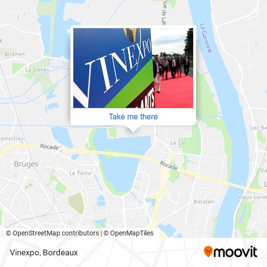 Vinexpo map