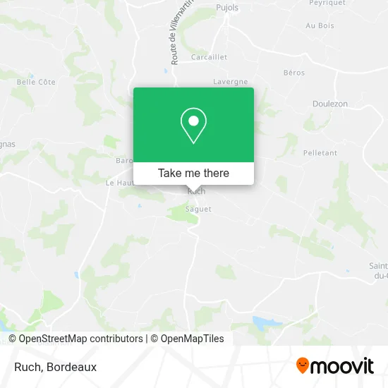 Ruch map
